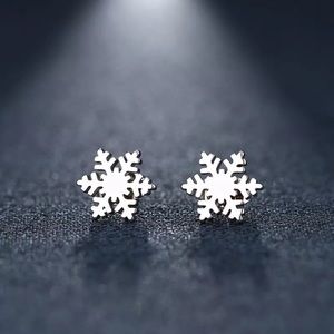 Stainless Steel Silver Snowflake Earrings